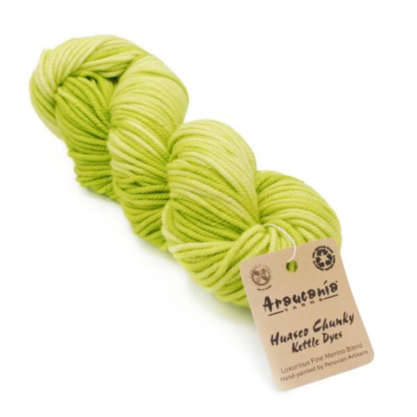 Araucania Huasco Chunky Kettle Dyes